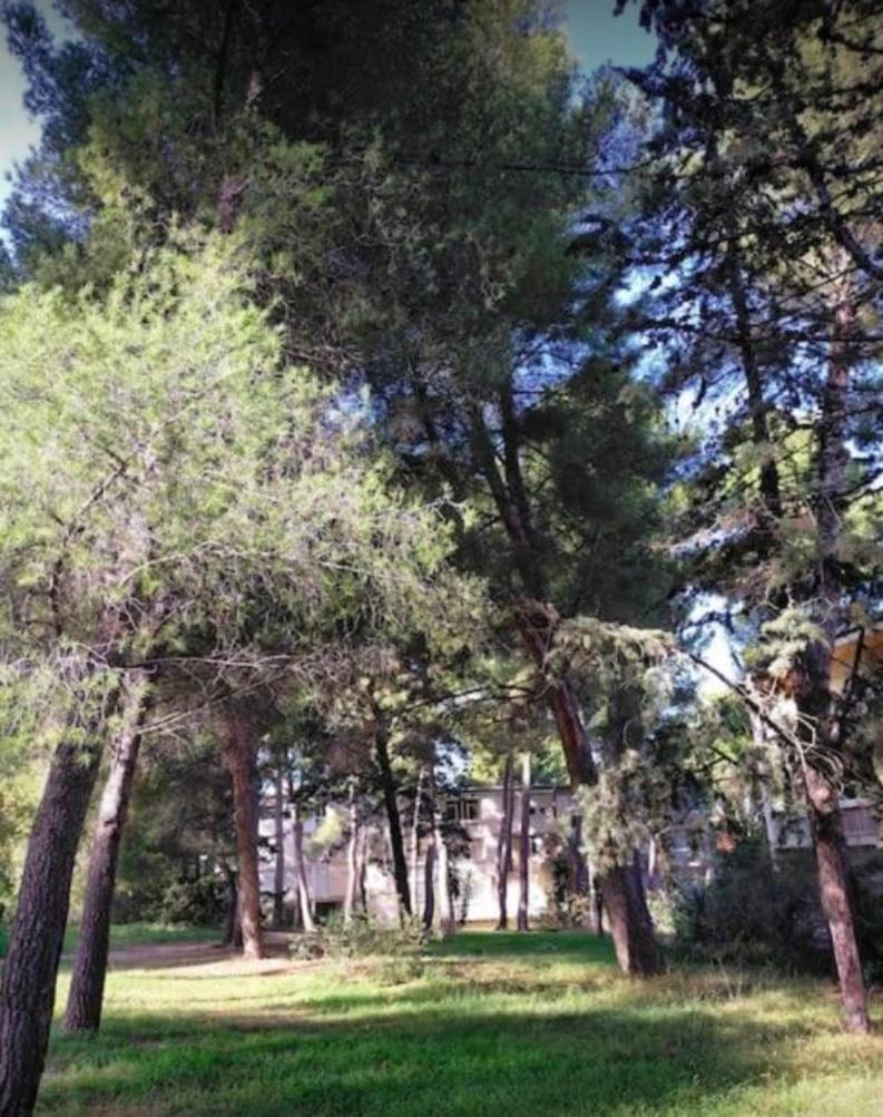 Studio Marseille Calanques Bagian luar foto